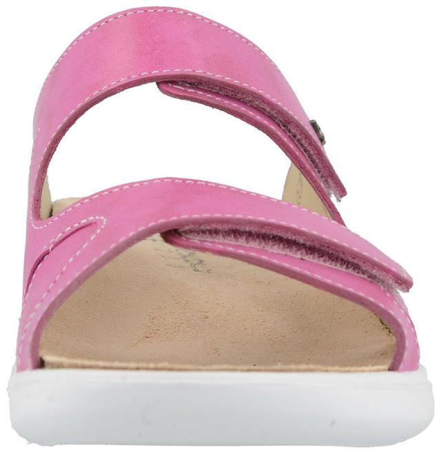 Palau pink, Nube