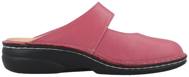 Stanford azalea, Nube