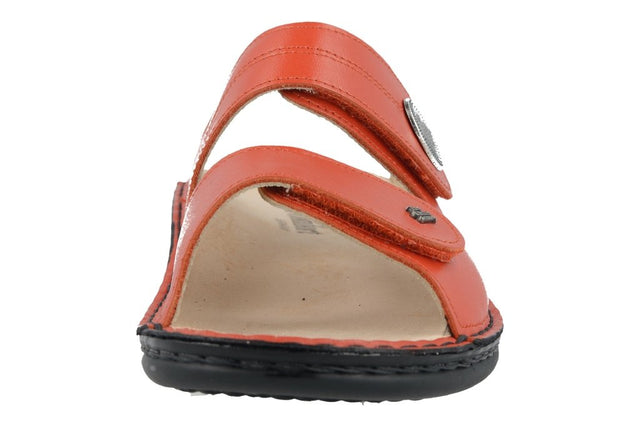 Sansibar flame, Nube