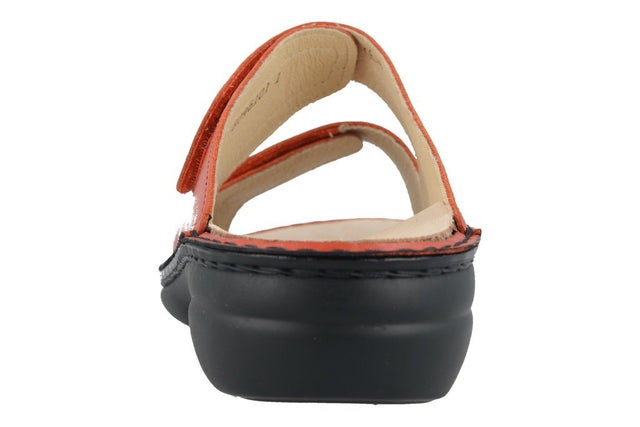 Sansibar flame, Nube