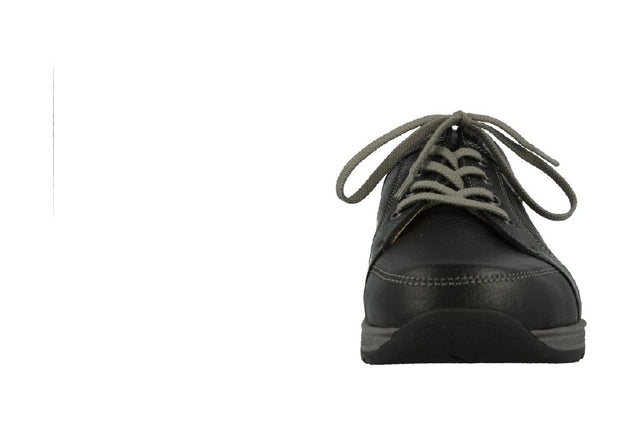 Saragossa schwarz, Bison