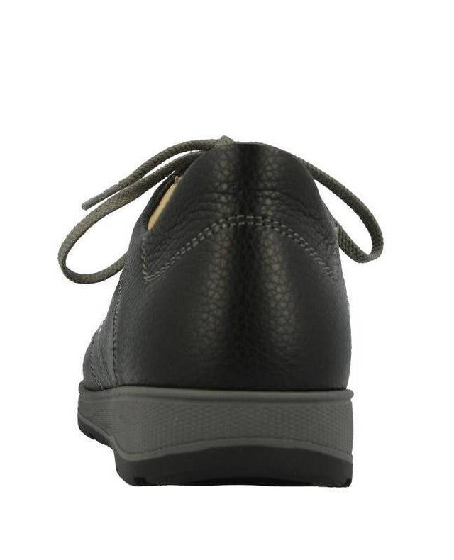 Saragossa schwarz, Bison