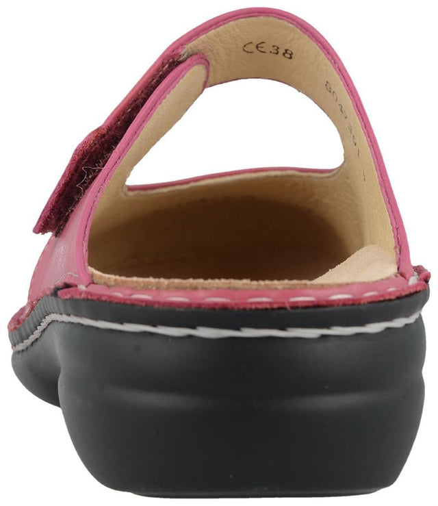 Stanford azalea, Nube