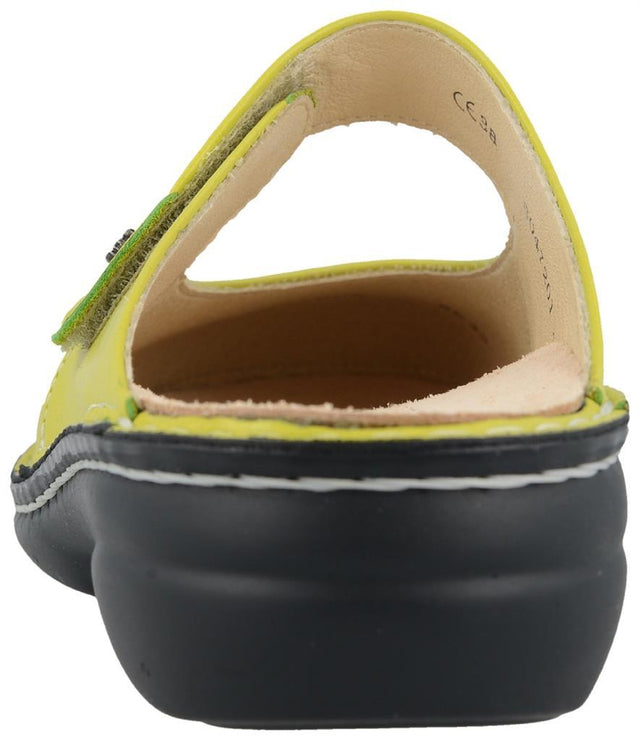 Stanford lime, Nube