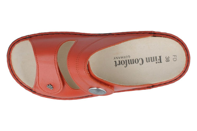 Sansibar flame, Nube