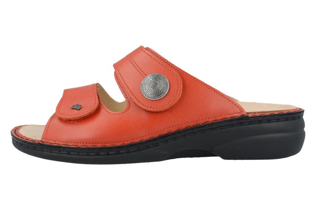 Sansibar flame, Nube