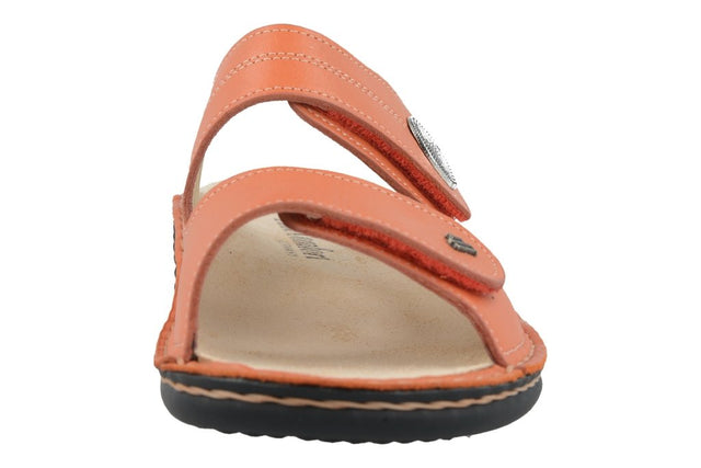 Sansibar mandarin, Nube